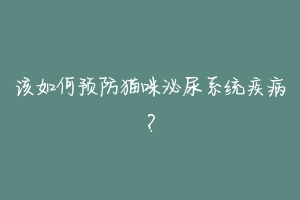 该如何预防猫咪泌尿系统疾病？