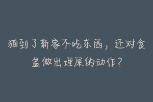 猫到了新家不吃东西，还对食盆做出埋屎的动作？