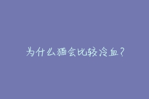 为什么猫会比较冷血？