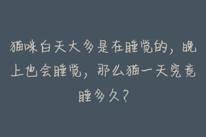 猫咪白天大多是在睡觉的，晚上也会睡觉，那么猫一天究竟睡多久？