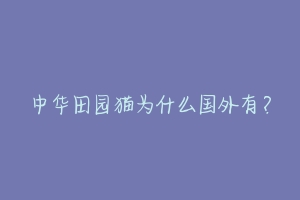 中华田园猫为什么国外有？