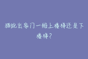 猫跑出家门一般上楼梯还是下楼梯？