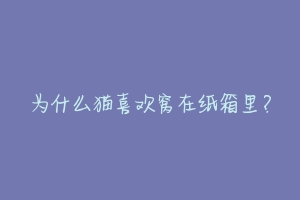 为什么猫喜欢窝在纸箱里？