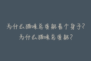 为什么猫咪总爱躬着个身子?为什么猫咪总爱躬？