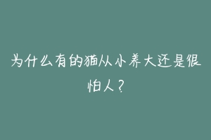 为什么有的猫从小养大还是很怕人？