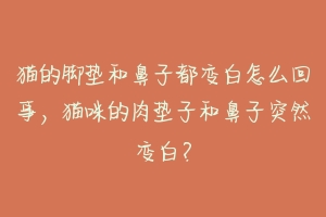 猫的脚垫和鼻子都变白怎么回事，猫咪的肉垫子和鼻子突然变白？