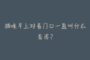 猫咪早上对着门口一直叫什么意思？