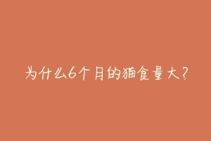 为什么6个月的猫食量大？