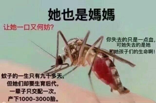 男朋友失去了一个亲人，我想唱首歌安慰他，该唱什么歌好呢？