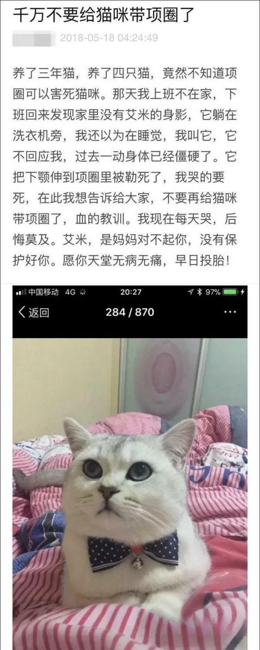 猫咪为什么不愿意戴项圈？