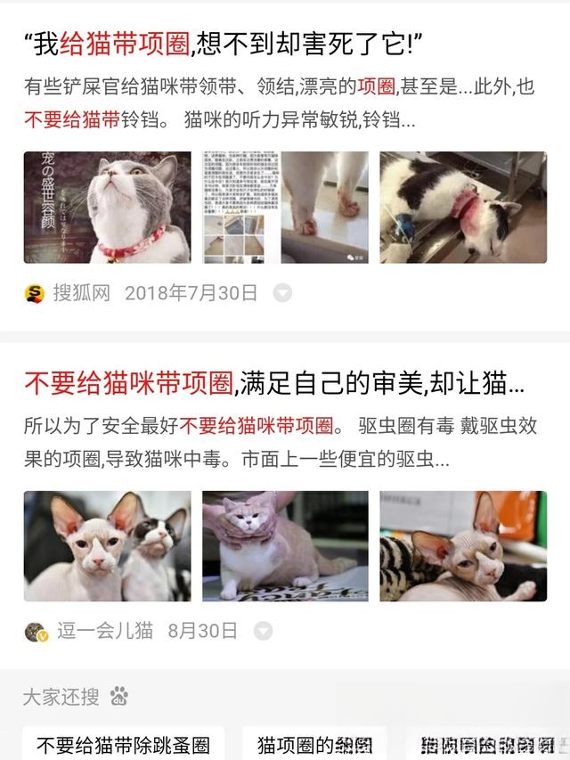 猫咪为什么不愿意戴项圈？