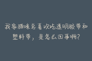 我家猫咪总喜欢吃透明胶带和塑料带，是怎么回事啊？