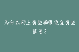 为什么网上有些猫很便宜有些很贵？