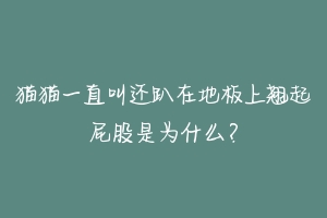 猫猫一直叫还趴在地板上翘起屁股是为什么？