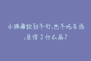 小猫瘫软到不行,也不吃东西,是得了什么病？