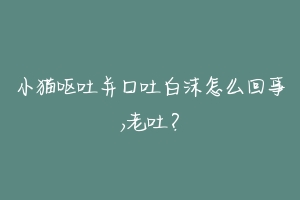 小猫呕吐并口吐白沫怎么回事,老吐？