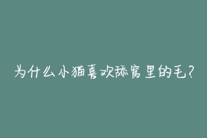 为什么小猫喜欢舔窝里的毛？