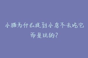 小猫为什么捉到小鸟不去吃它而是玩的？