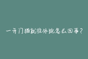 一开门猫就往外跑怎么回事？