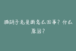 猫胡子老是断怎么回事？什么原因？