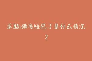 求助:猫变哑巴了是什么情况？