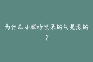 为什么小猫呼出来的气是凉的？