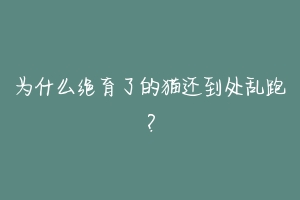 为什么绝育了的猫还到处乱跑？