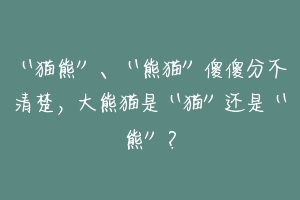 “猫熊”、“熊猫”傻傻分不清楚，大熊猫是“猫”还是“熊”？