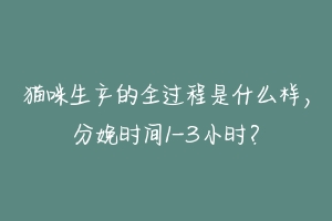 猫咪生产的全过程是什么样，分娩时间1-3小时？