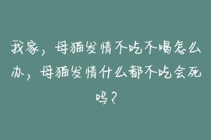 我家，母猫发情不吃不喝怎么办，母猫发情什么都不吃会死吗？