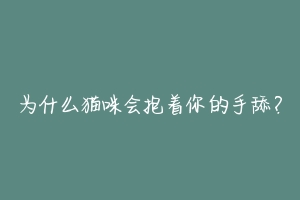 为什么猫咪会抱着你的手舔？