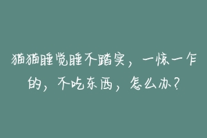 猫猫睡觉睡不踏实，一惊一乍的，不吃东西，怎么办？