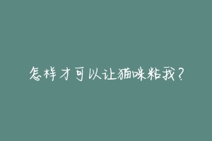 怎样才可以让猫咪粘我？