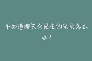 不知道哪只仓鼠生的宝宝怎么办？