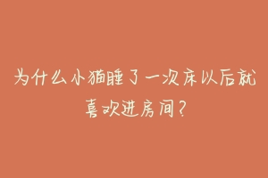 为什么小猫睡了一次床以后就喜欢进房间？