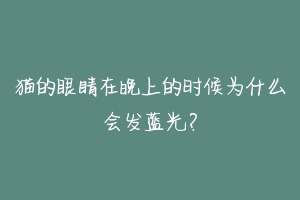 猫的眼睛在晚上的时候为什么会发蓝光？