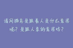 请问猫总是跟着人是什么意思呢？是跟人亲的意思吗？