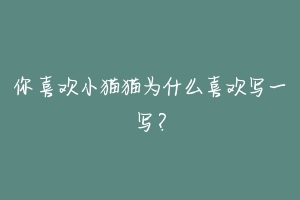 你喜欢小猫猫为什么喜欢写一写？