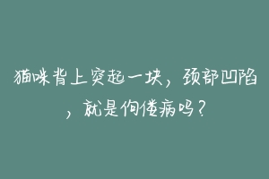 猫咪背上突起一块，颈部凹陷，就是佝偻病吗？