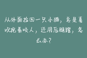 从外面捡回一只小猫，总是喜欢抱着咬人，还用后腿蹬，怎么办？