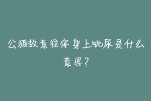 公猫故意往你身上呲尿是什么意思？