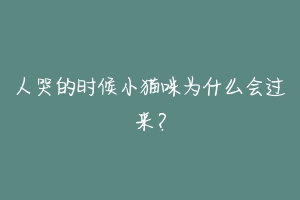 人哭的时候小猫咪为什么会过来？