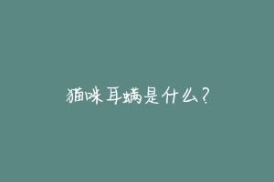 猫咪耳螨是什么？