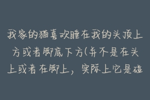 我家的猫喜欢睡在我的头顶上方或者脚底下方(并不是在头上或者在脚上，实际上它是碰不到我的)？