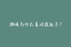 猫咪为什么喜欢摸肚子？