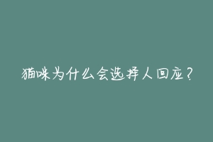 猫咪为什么会选择人回应？