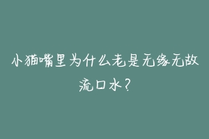 小猫嘴里为什么老是无缘无故流口水？