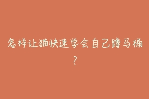 怎样让猫快速学会自己蹲马桶？