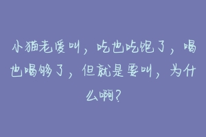 小猫老爱叫，吃也吃饱了，喝也喝够了，但就是要叫，为什么啊？