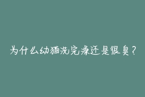 为什么幼猫洗完澡还是很臭？